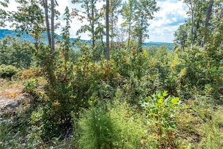 0 Highgrove Dr Unit 414425, Ellijay, GA 30175