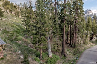 123 Larkspur Dr Unit 413, Markleeville, CA 96120
