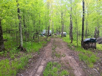 N10095 Woodland Ln, Worcester, WI 54555