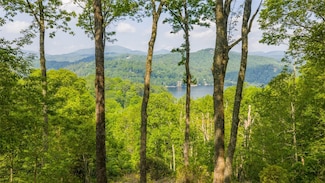 Lot 1 Receptive Dr, Glenville, NC 28736
