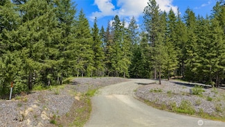 9 Salmon La Sac Rd, Ronald, WA 98940