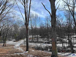 0 N County Road 75 W, Cayuga, IN 47847