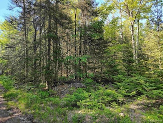 TBD Lake Superior Point Rd, Deerton, MI 49822