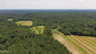 0 Scallions Rd, Cascilla, MS 38920