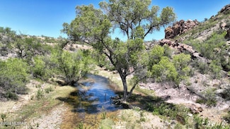 00 Circulo Milpas Unit 153, Rio Rico, AZ 85648