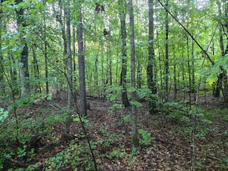 0 County Road 823 Unit 24237159, Wadley, AL 36276