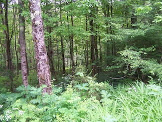 403 Fiske Rd, Rochester, VT 05767