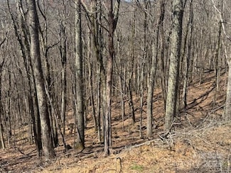 261 Grouse Thicket Ln, Egypt, NC 28754