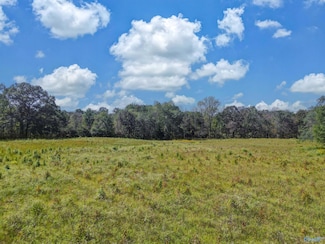 16 acres Holland Rd, Horton, AL 35980