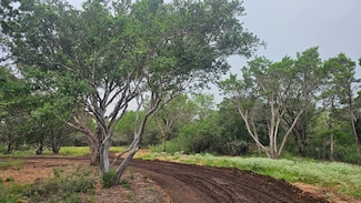 0 County Road 119 Unit HLM174002, Burnet, TX 78611