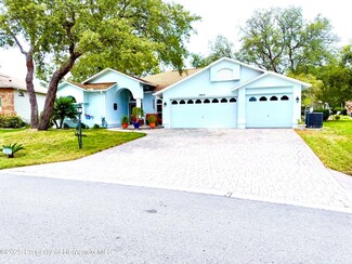 2069 Overbrook Ln, Spring Hill, FL 34606