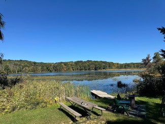 7293 E Hungerford Lake Dr, Big Rapids, MI 49307