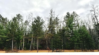 V/L Highway 10 NW, Baldwin, MI 49304