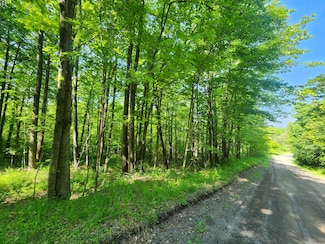 0 Marsh Rd, Erin, NY 14838