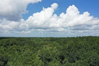 XX S Lanier Rd, Havana, FL 32333