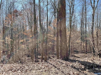 A Lot 16 Cardinal Dr, Guntersville, AL 35976