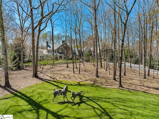 735 Jackson Grove Rd, Landrum, SC 29356