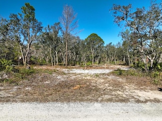 1205 Oak Pond Cir, Steinhatchee, FL 32359