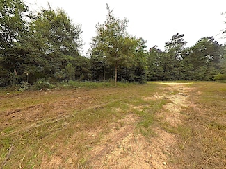 286 Stacy Wiggins Dr, Indian Springs, TX 77351