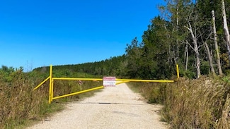 0000000000 N Gate Road North of Highway 90, Daisetta, TX 77533