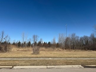 0 Orchard St Unit Lot 3 25009233, Capac, MI 48014