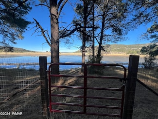 314 2108, Nutrioso, AZ 85932