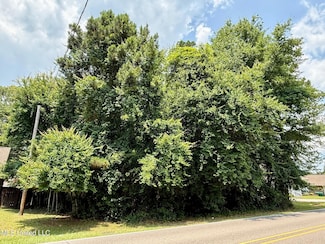 88153 Golf Club Dr, Diamondhead, MS 39525