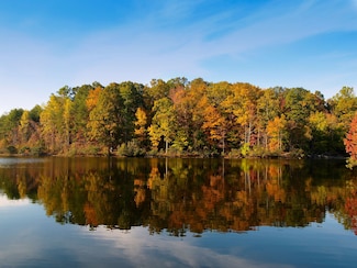 807 Elms Spinney Ln, Chapin, SC 29036