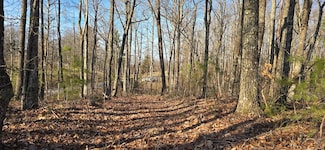 16 AC. Upper Crab Rd, Jamestown, TN 38556
