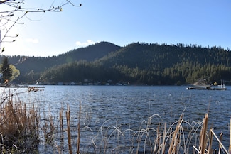 TBD E Deer Lake Way, Loon Lake, WA 99148