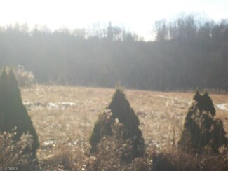 5165 Center Rd, Philo, OH 43771