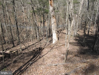 180 Spruce Ln, Basye, VA 22842