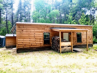 5228 S Brown Rd, Cadillac, MI 49601