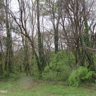 5171 Starmount Rd, Liberty, NC 27298