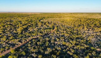 Garner Field Rd, Uvalde, TX 78801