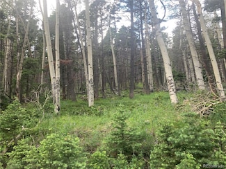 2956 Kemper Loop, Fort Garland, CO 81133