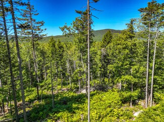Lot 39 Sawyer Brook Rd, Andover, ME 04216