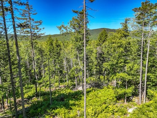 Lot 39 Sawyer Notch Rd, Andover, ME 04216