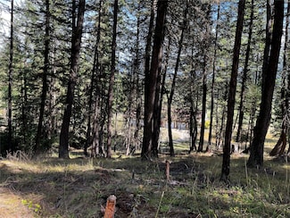 Nhn Crystal Lake Rd, Eureka, MT 59917