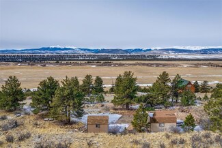 420 Bonell Dr, Fair Play, CO 80440
