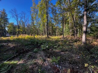 VL Jefferson St, Pleasant Plains Township, MI 49642