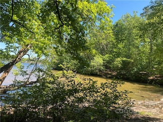 Lot 91 Tidewater Ct Unit 91, Norwood, NC 28128