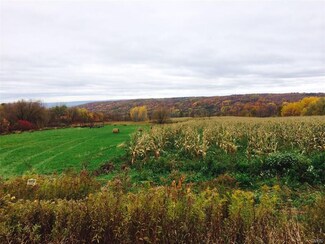 0 Rock Hill Rd Unit S1092722, Mohawk, NY 13407