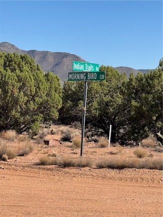 00 E Morning Bird Cir, Hackberry, AZ 86411