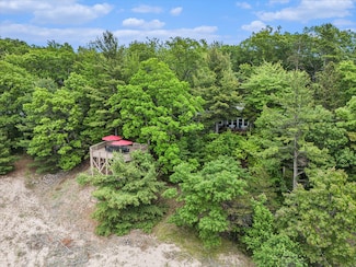 8641 N Perry Ave, Pentwater, MI 49449