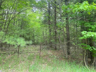 0 S Poor Farm Rd, Harrisville, MI 48740
