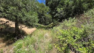 0 Hope Ln Unit IG25152965, Cedarpines Park, CA 92322