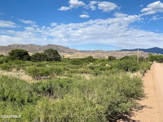 TBD Turkey Creek Rd, Pearce, AZ 85625