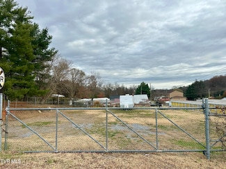 108 Inca Dr, Mount Carmel, TN 37645