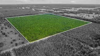 0 SE 62 Place Unit MFROM687675, Morriston, FL 32668